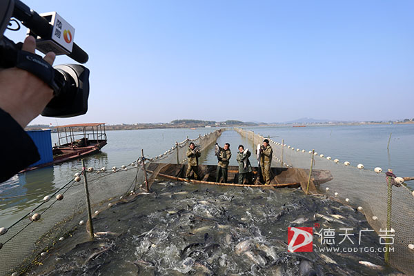 常德市德天廣告有限公司,品牌設計,活動策劃,影視攝制,廣告設備租賃,媒體廣告推廣,